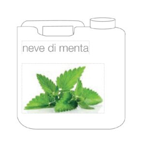 Tanica essenze per nebbia fredda 5 litri - MENTA